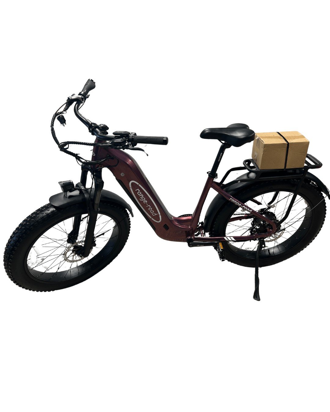 RR2900 48V E-Bike
